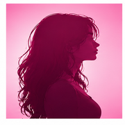 The_Mix profil resmi